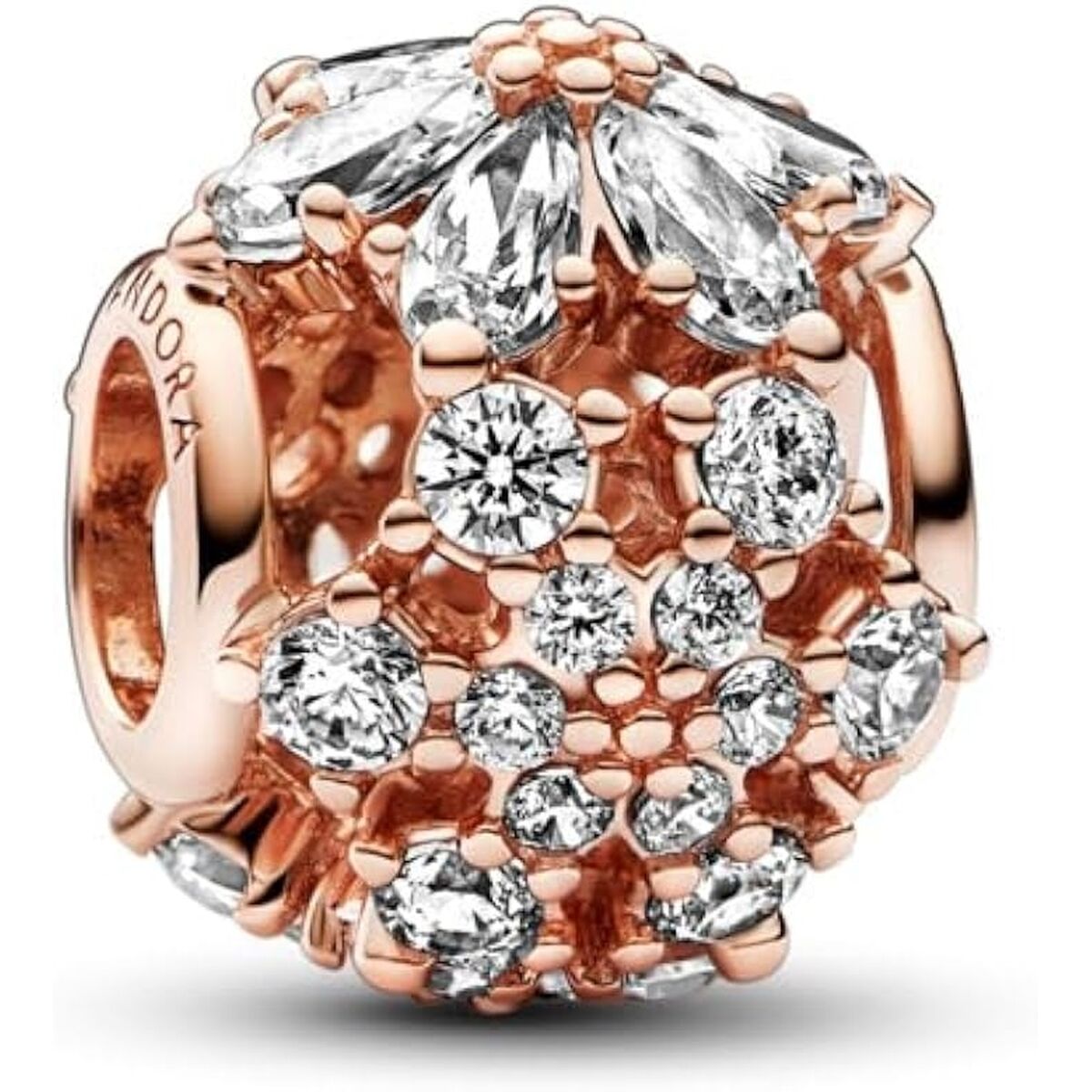 Woman's charm link Pandora SPARKLING HERBARIUM CLUSTER ROUND byKim Pandora