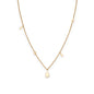 Ladies' Necklace Rosefield JSDNG-J054 40-45 cm